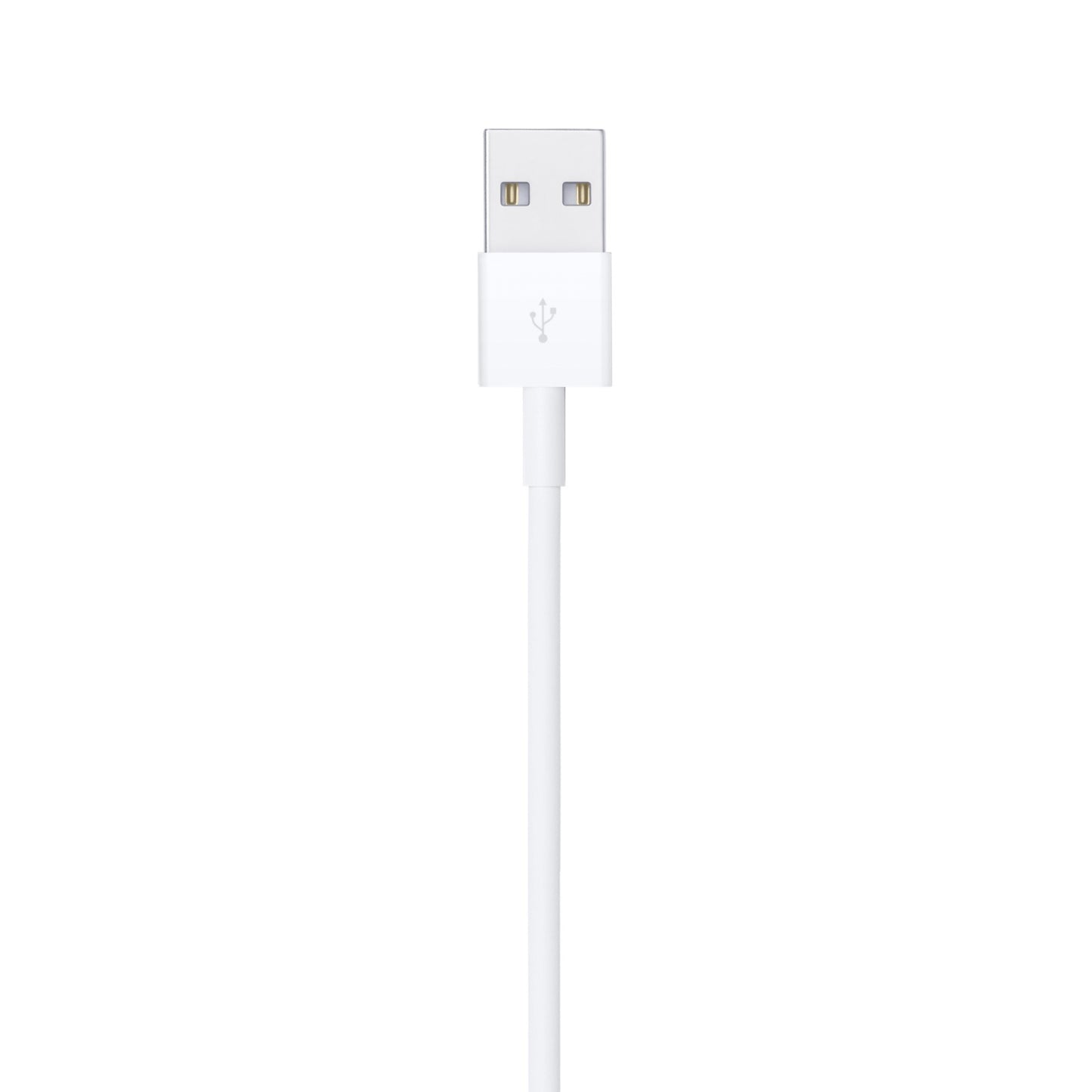 Lightning to USB Cable 2 M