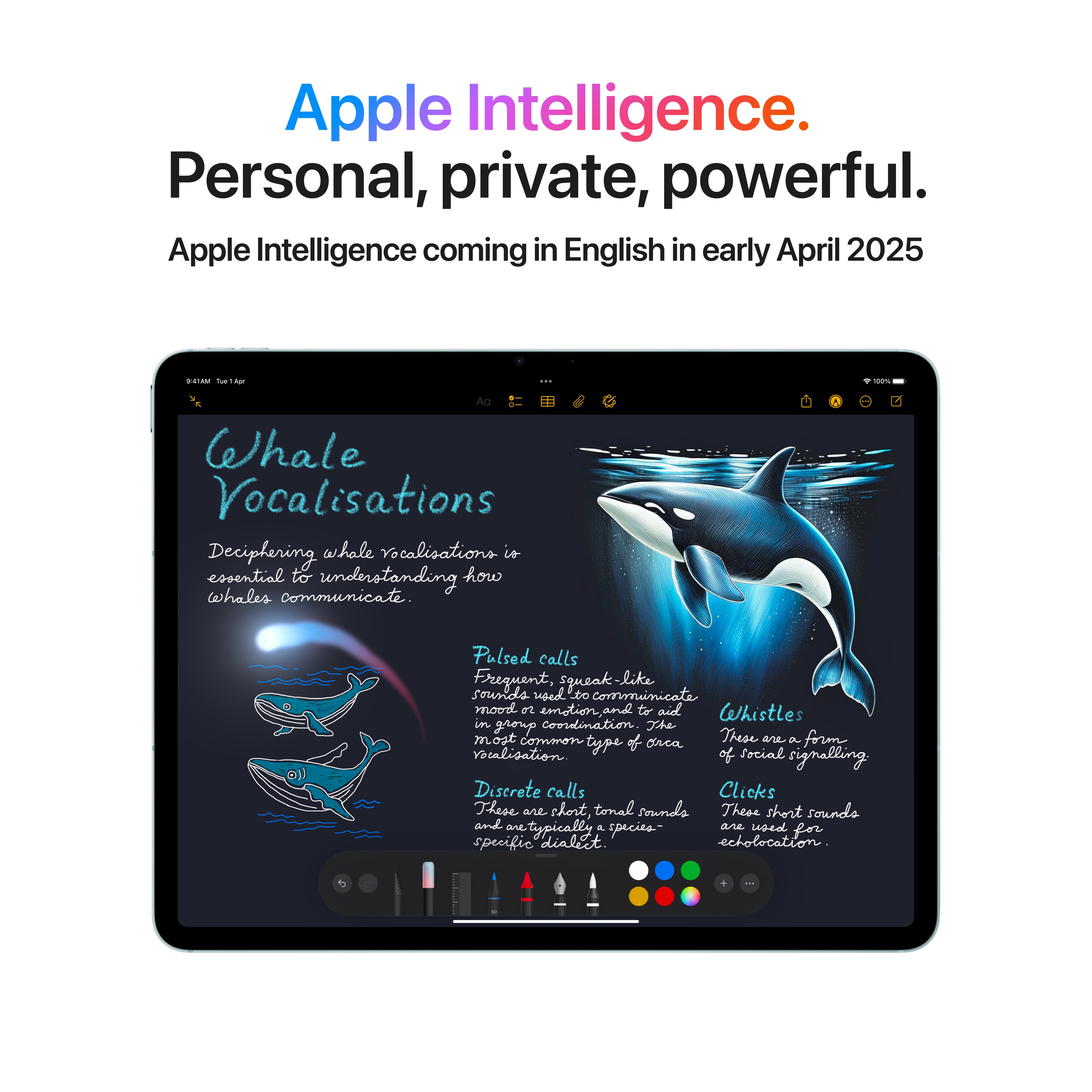 11-inch iPad Air Wi-Fi + Cellular 128GB - Purple (M3)