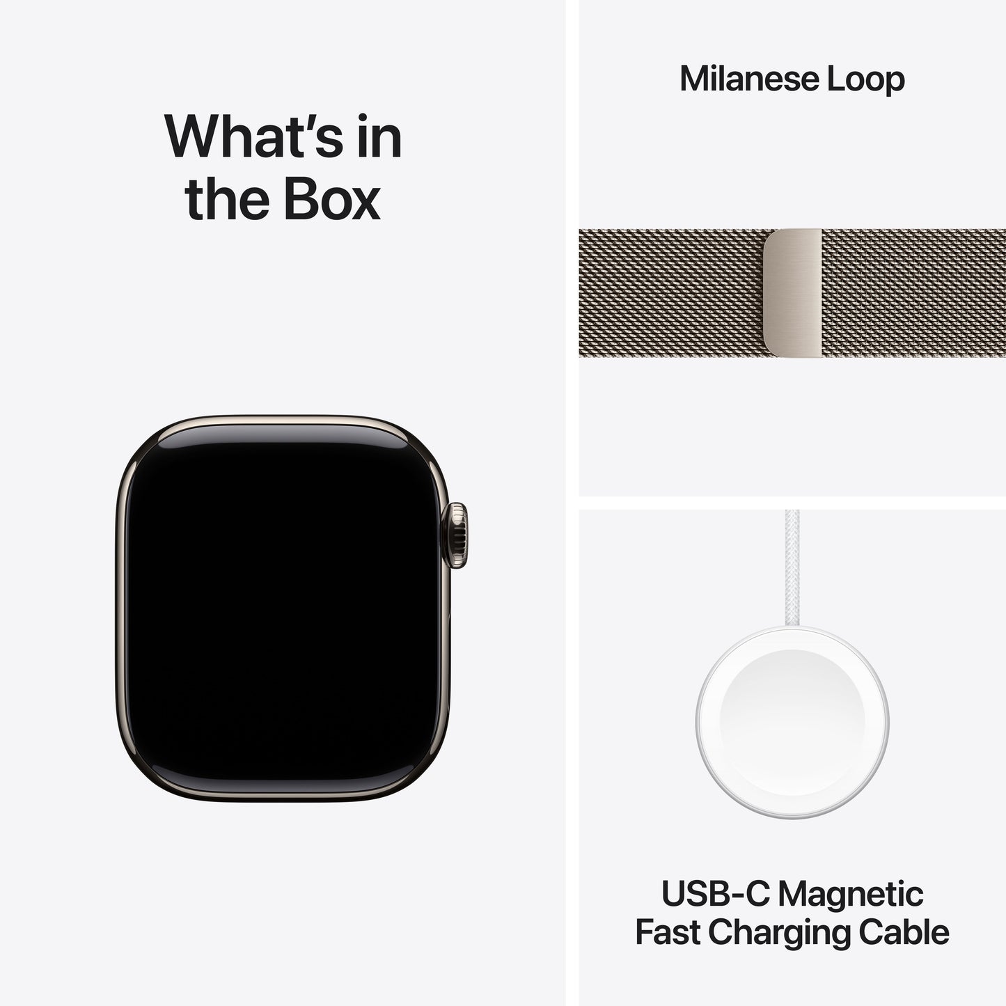 Apple_Watch_Series_11_42mm_LTE_Natural_Titanium_Milanese_Loop_Natural_PDP_Image_Position_9__en-IN