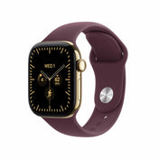Apple_Watch_Series_12_42mm_GPS_plus_Cellular_Radiant_Gold_Titanium_Sport_Band_Burgundy_PDP_Image_Position_1__en-IN