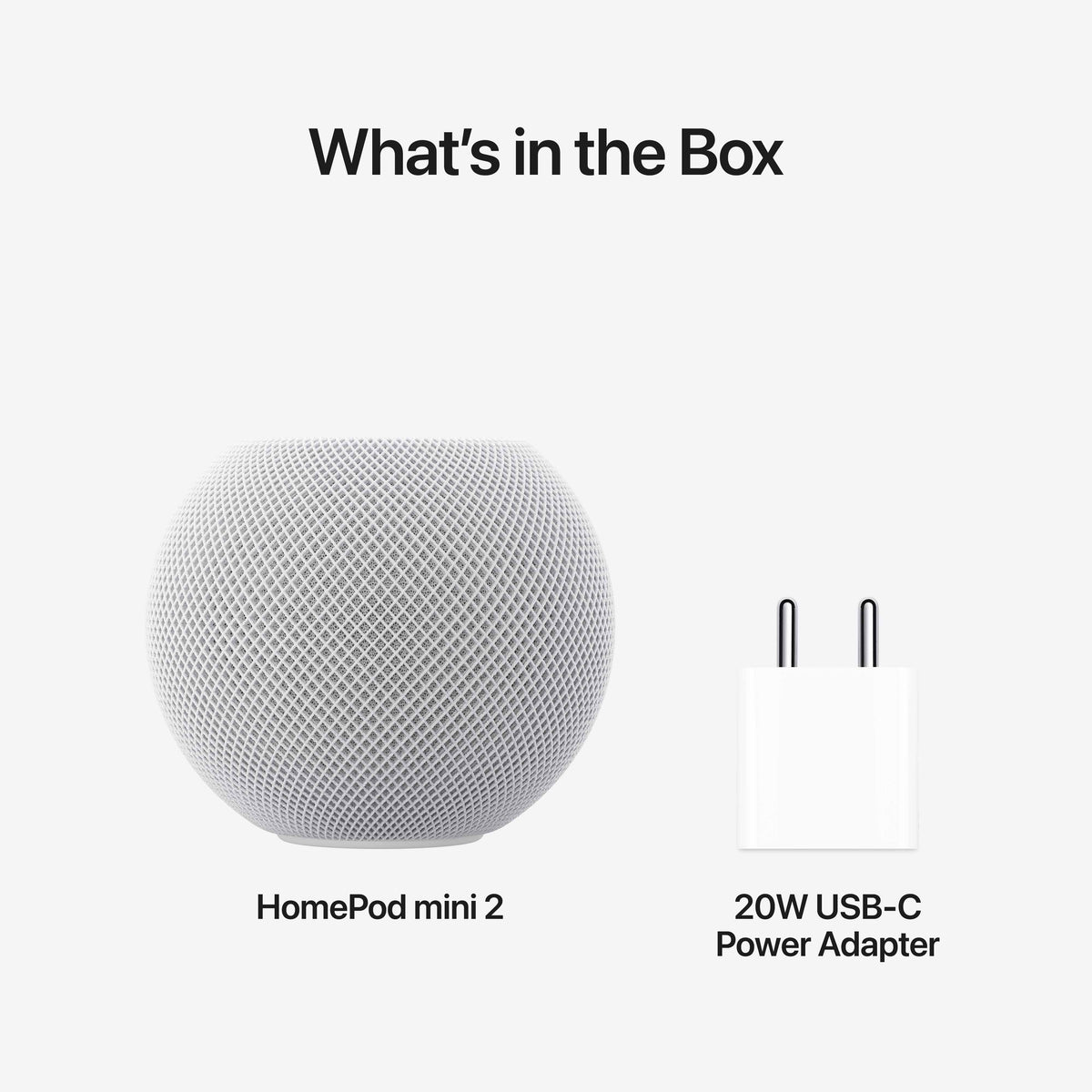 IMG-22173162