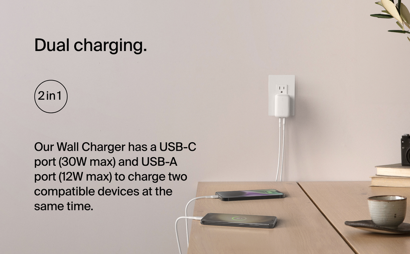42W PPS USB-C Wall Charger