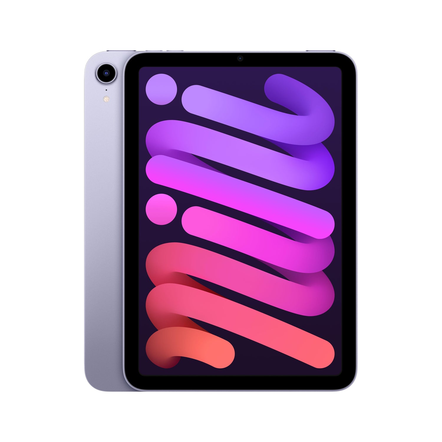 2021 iPad mini Wi-Fi 64GB - Purple (6th generation)